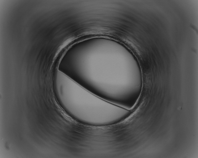 X0000097641114200802290816