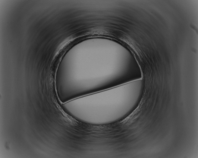 X0000097641115200802290816