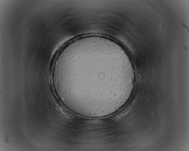 X0000097641117200802290816