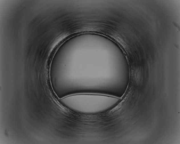 X0000097641119200802290816