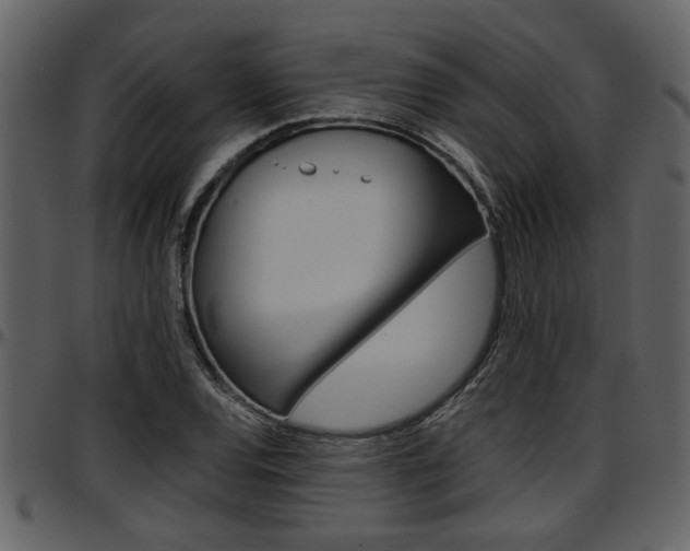X0000097641120200802290816
