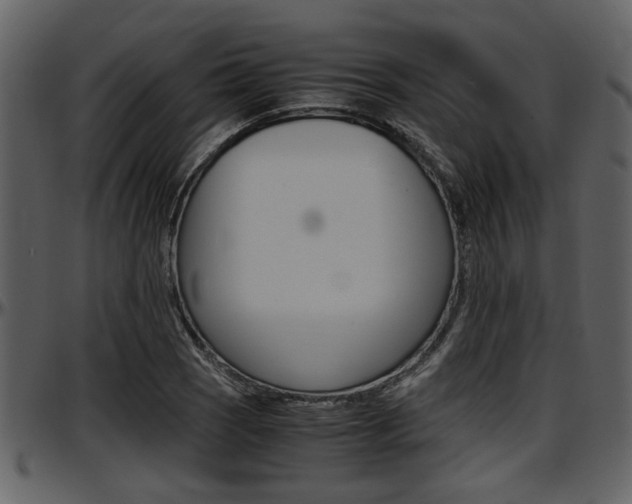 X0000097641121200802290816