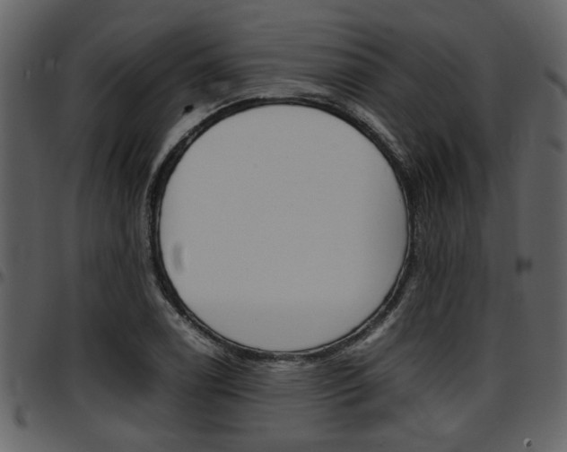 X0000097641122200802290816