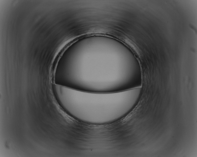 X0000097641124200802290816
