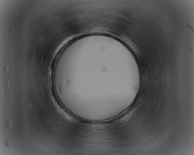 X0000097641126200802290816