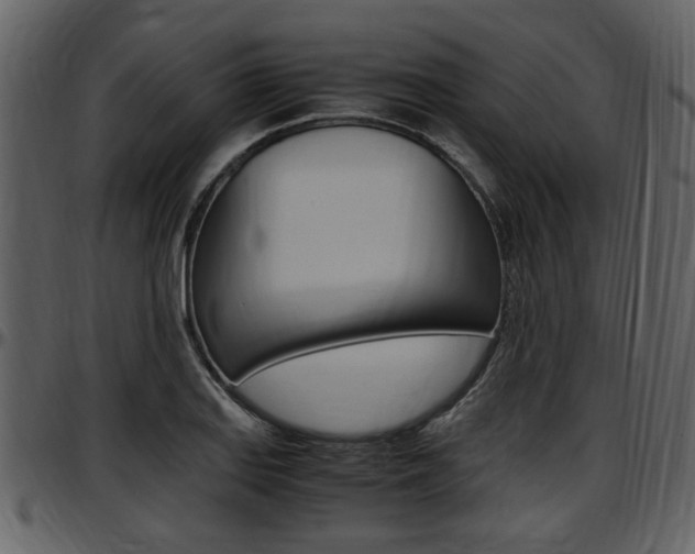 X0000097641127200802290816