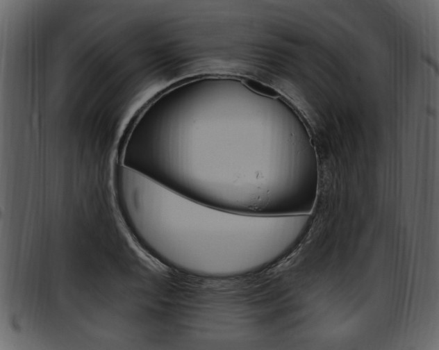 X0000097641128200802290816
