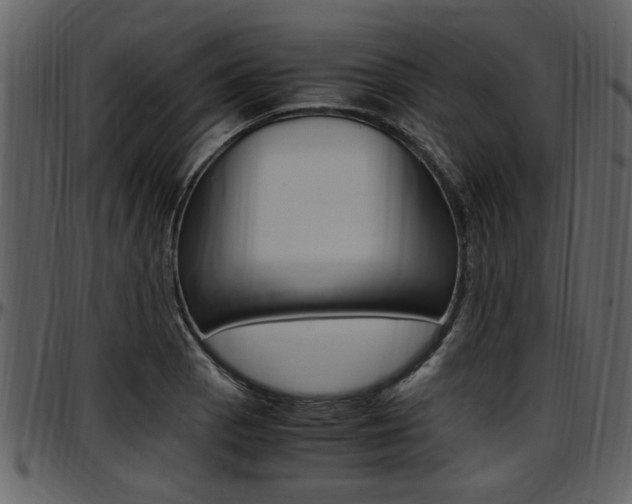 X0000097641129200802290816
