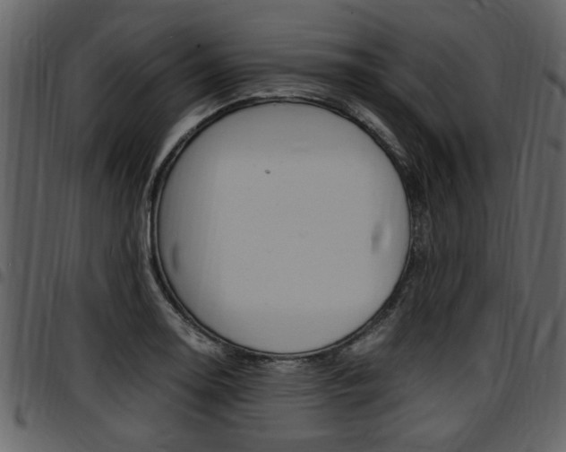 X0000097641130200802290816
