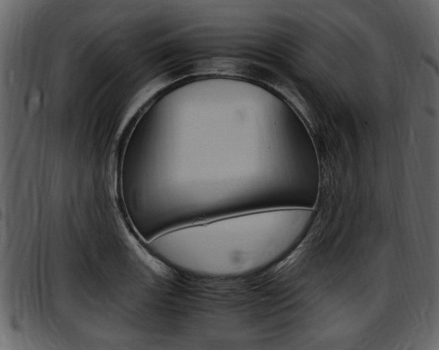 X0000097641131200802290816