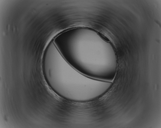 X0000097641132200802290816