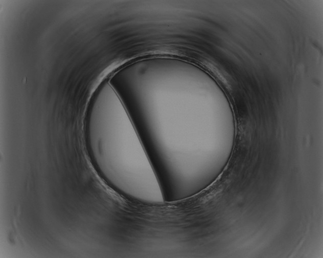 X0000097641133200802290816