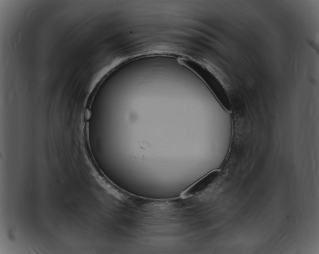 X0000097641134200802290816