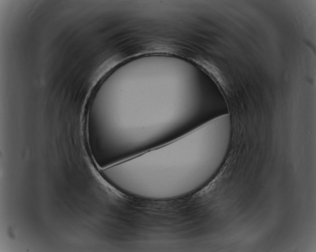 X0000097641135200802290816
