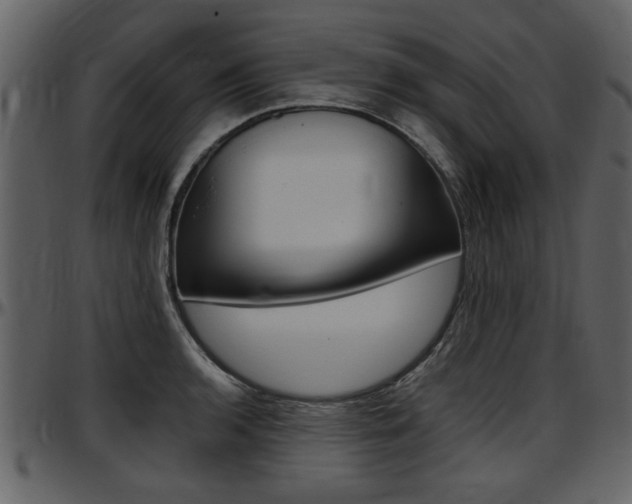 X0000097641136200802290816