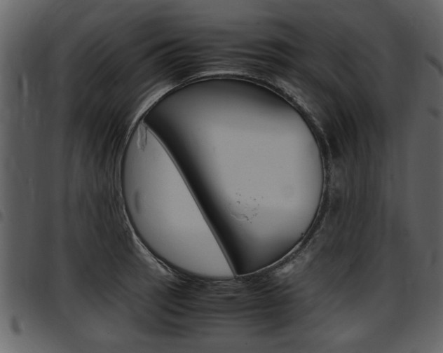 X0000097641137200802290816