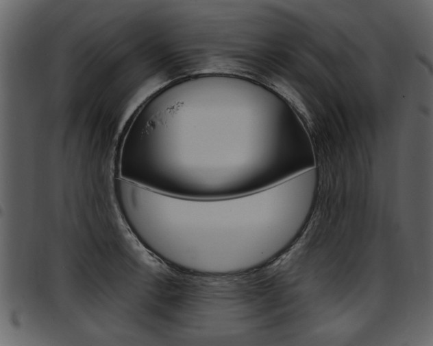 X0000097641138200802290816