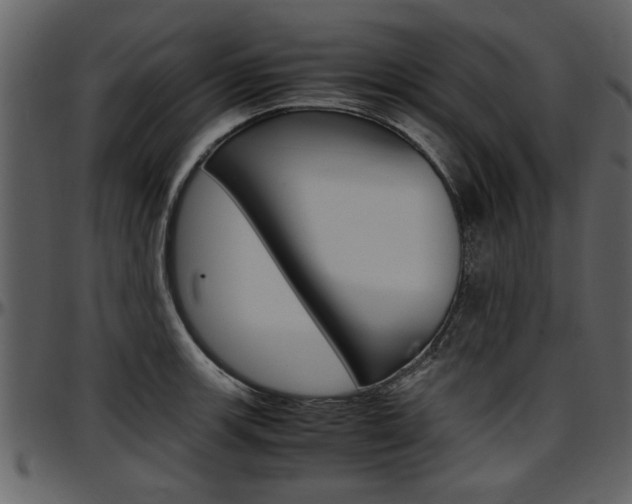 X0000097641139200802290816