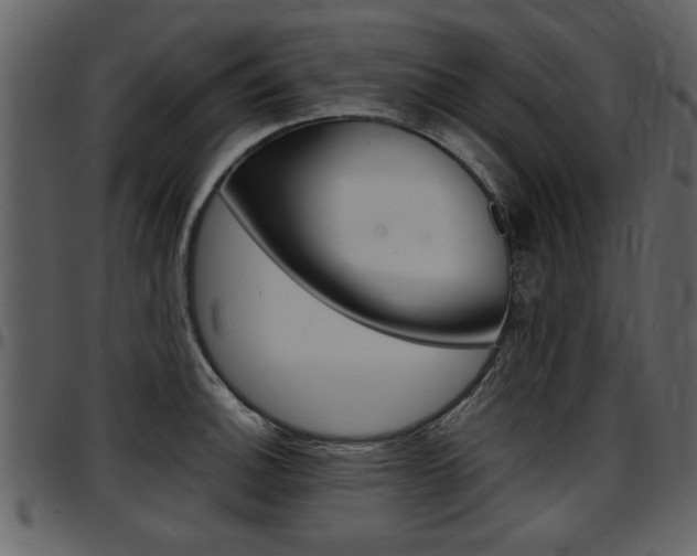 X0000097641140200802290816