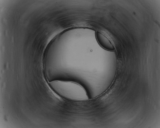 X0000097641141200802290816