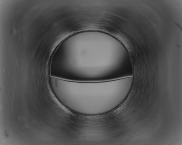 X0000097641142200802290816
