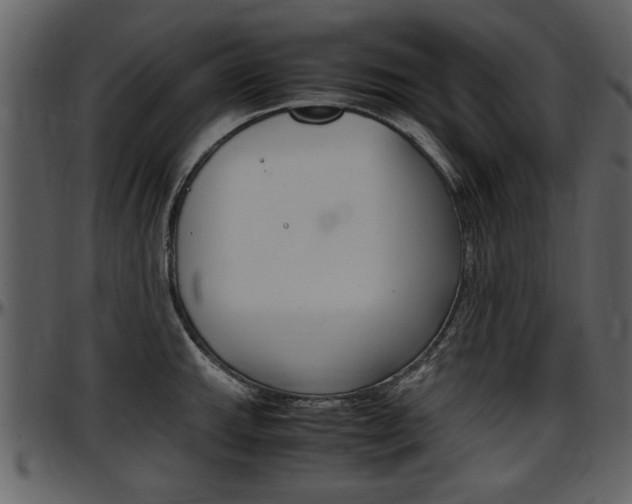 X0000097641143200802290816