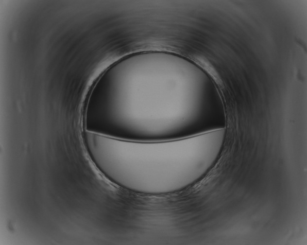 X0000097641144200802290816