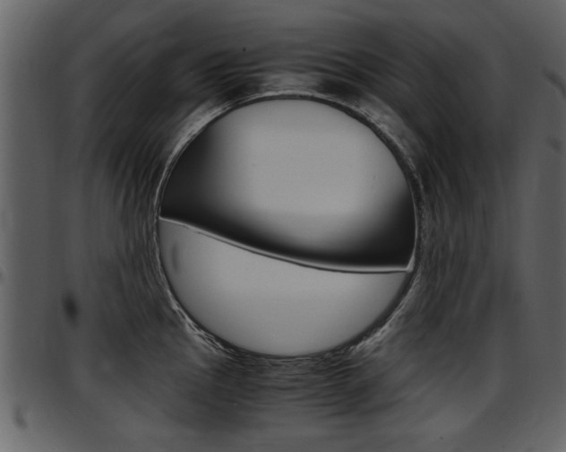 X0000097641145200802290816