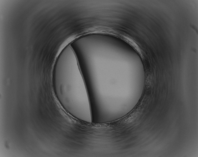 X0000097641146200802290816