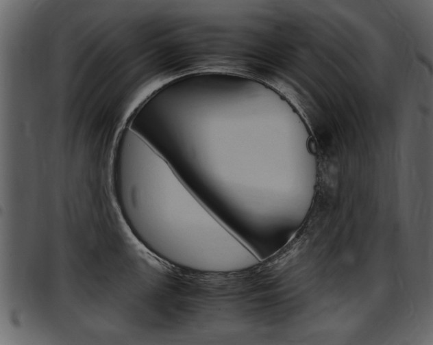 X0000097641147200802290816