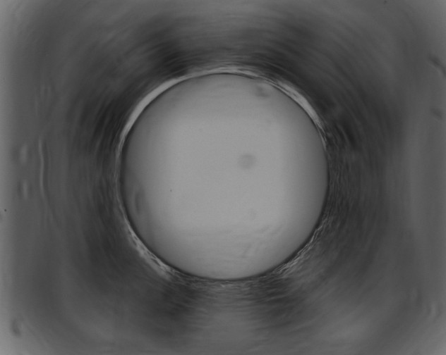 X0000097641148200802290816