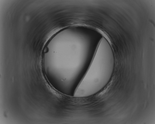 X0000097641149200802290816
