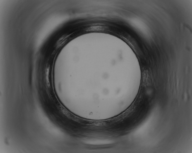 X0000097641150200802290816
