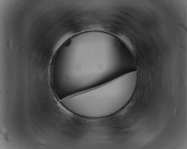 X0000097641151200802290816