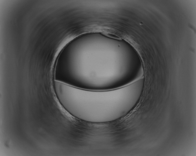 X0000097641152200802290816