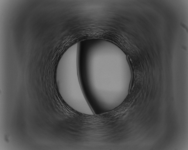 X0000097641153200802290815