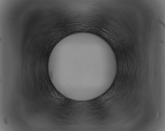 X0000097641154200802290815