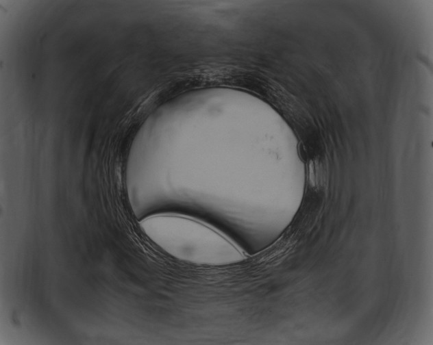 X0000097641155200802290815
