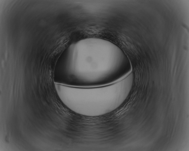 X0000097641156200802290815