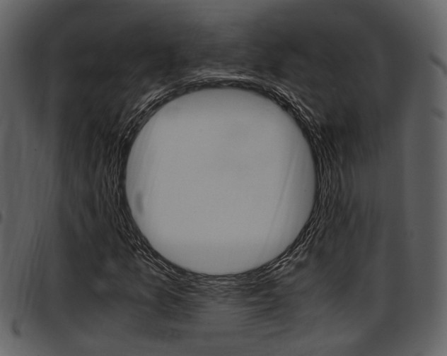 X0000097641157200802290815