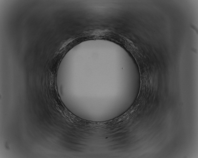 X0000097641158200802290815