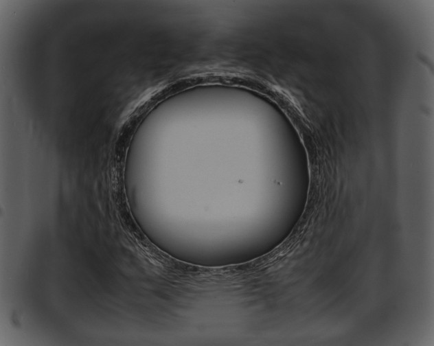 X0000097641159200802290815