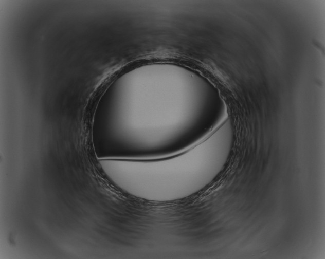 X0000097641160200802290815