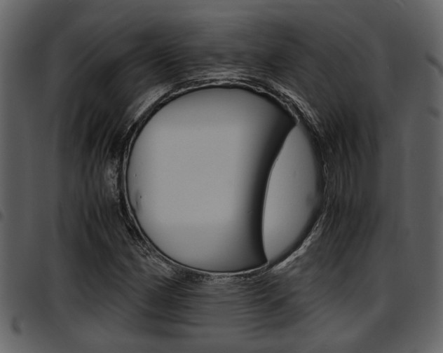 X0000097641162200802290815