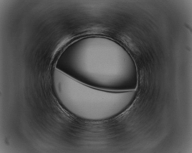 X0000097641164200802290815