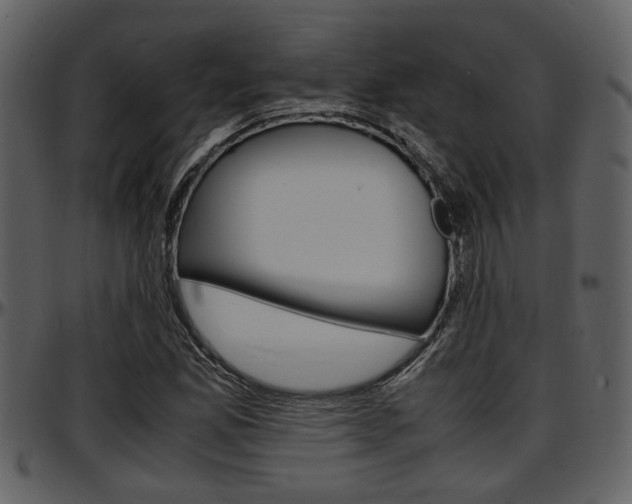 X0000097641165200802290815
