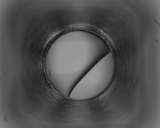 X0000097641166200802290815