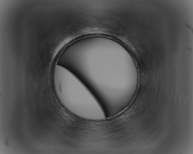 X0000097641167200802290815