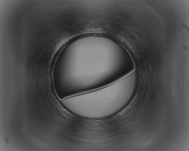 X0000097641168200802290815