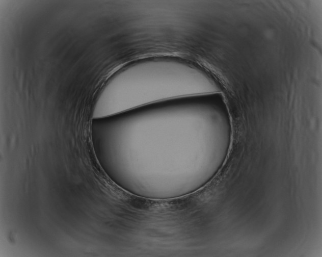 X0000097641169200802290815